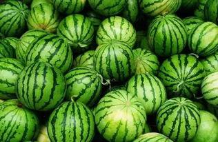 吃瓜资源群在哪找,吃瓜资源群聚集地，轻松获取热门资讯！