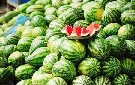 麦田里吃瓜,探寻乡村田园的悠闲时光