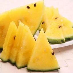 带你吃瓜17集,揭秘17集剧情高潮与悬念