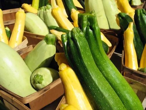 带你吃瓜17集,揭秘17集剧情高潮与悬念