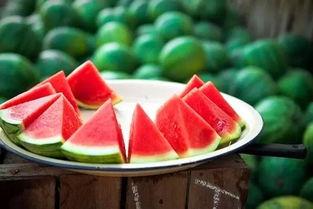 韩府吃瓜,揭秘娱乐圈的吃瓜盛宴