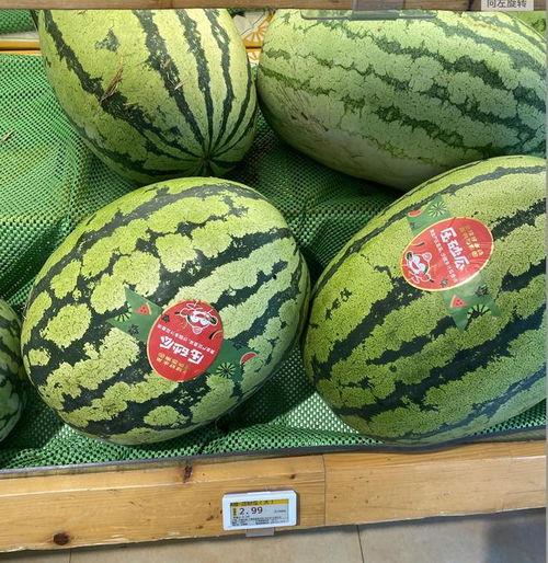 吃瓜哪里买,吃瓜爱好者必看！瓜源选购指南