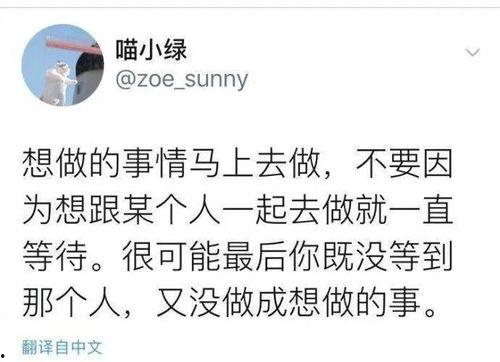 专心吃瓜小说,一场关于专心吃瓜的奇幻冒险