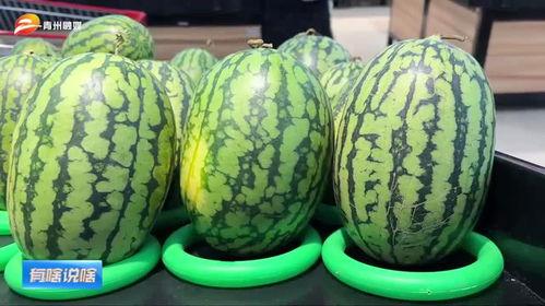 青州吃瓜的视频,一场视觉与味蕾的双重盛宴