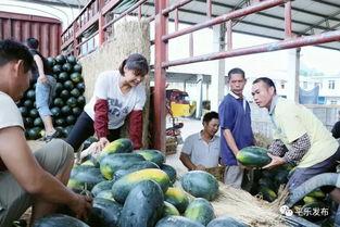 吃瓜群是怎么得到瓜源的,如何轻松获取热门资讯