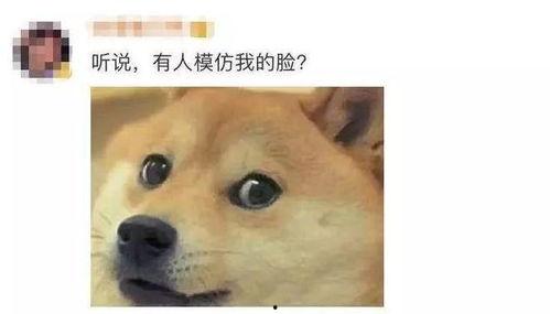 微信吃瓜的群,揭秘网络社交的趣味与争议