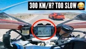 兰博带粉吃瓜,揭秘娱乐圈幕后故事