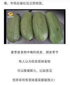 苦乐皆可言 吃瓜,吃瓜人生