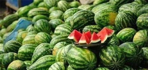 苦乐皆可言 吃瓜,吃瓜人生