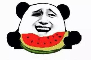 不能当吃瓜群众,积极参与社会建设的行动指南