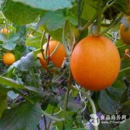 红瑞瓜怎么吃,解锁美味新体验