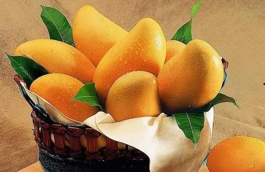 吃哈密瓜长寿,长寿果实的神奇魅力