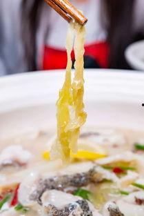 一簑烟雨吃瓜,揭秘吃瓜背后的文化现象