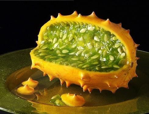 南非角瓜怎么吃,探索美味与营养的完美结合