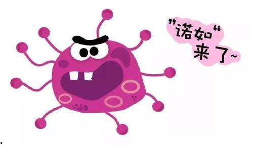 吃瓜传播危险,揭秘网络传播中的潜在危险