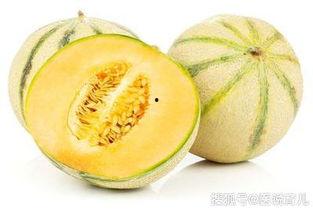 天瓜能直接吃吗怎么吃,直接食用方法及美味吃法揭秘