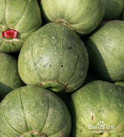 天瓜能直接吃吗怎么吃,直接食用方法及美味吃法揭秘