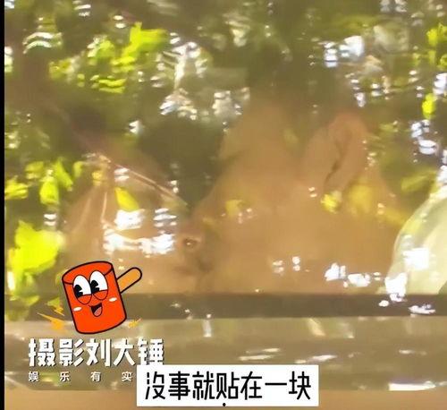 吃瓜后择偶,从八卦中挑选理想伴侣