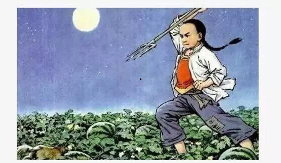 瓜田里吃猹的瓜,一场别开生面的瓜田奇遇