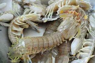 青州吃瓜的视频,一场视觉与味蕾的双重盛宴